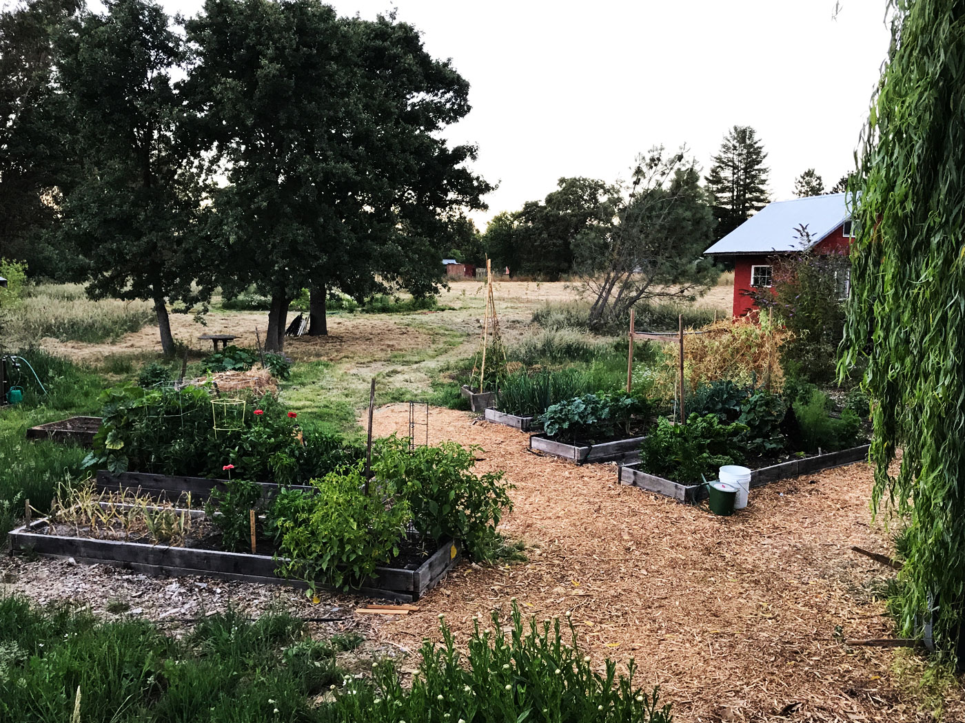 1809 Cooper Road, Commonspace Community Land Trust (CSCLT) affordable housing program