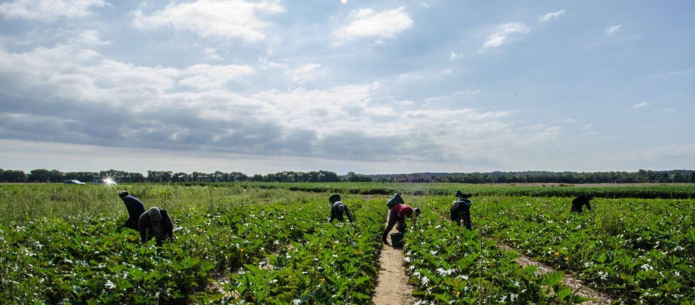 Farmworkers